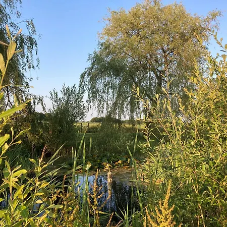 Hoeve Holiday home Molenschot