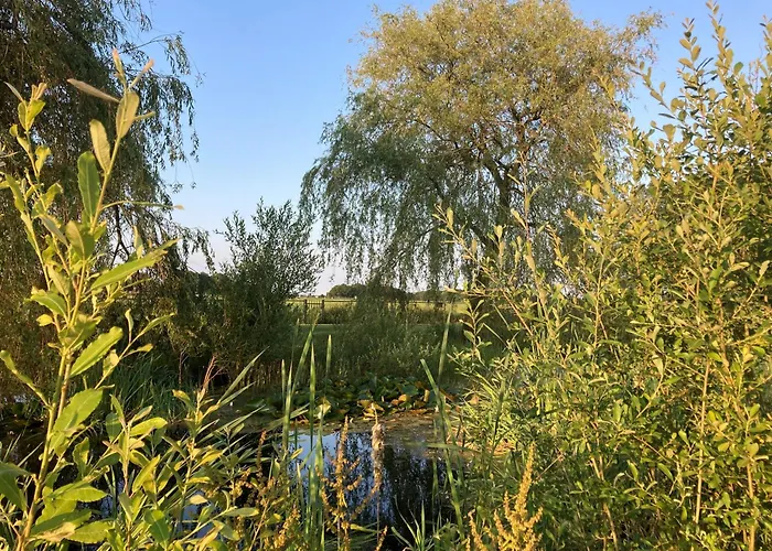 Hoeve 別荘 Molenschot