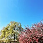 Semesterbostad Hoeve