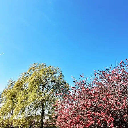 Feriehus Hoeve